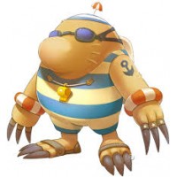 Apple Developer Accounts