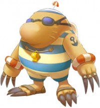 Apple Developer Accounts