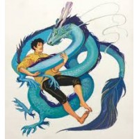 Paypal Verified Accounts